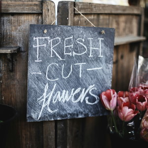 Picture of the farm shop